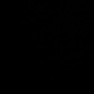 Meet your Posher, Katelin